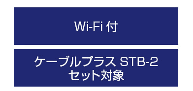 ぶんぶん光 Wi-Fi